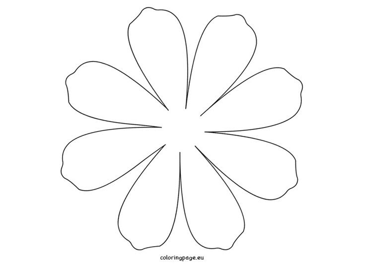 Printable Flower Daisy 8 petal Coloring Page Flower petal template