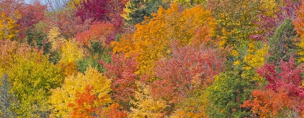 fall color in Ontonagon County, Michigan