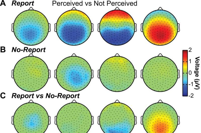 Eyes offer a window into the mystery of human consciousness