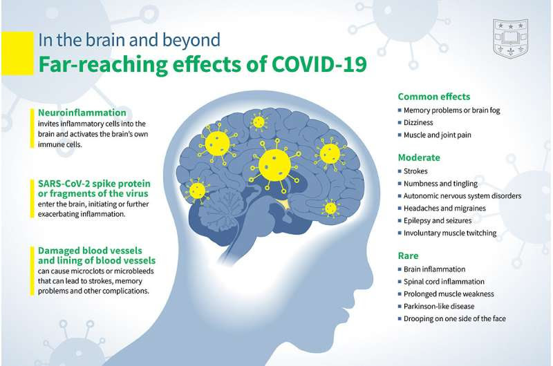 COVID-19 infections increase risk of long-term brain problems