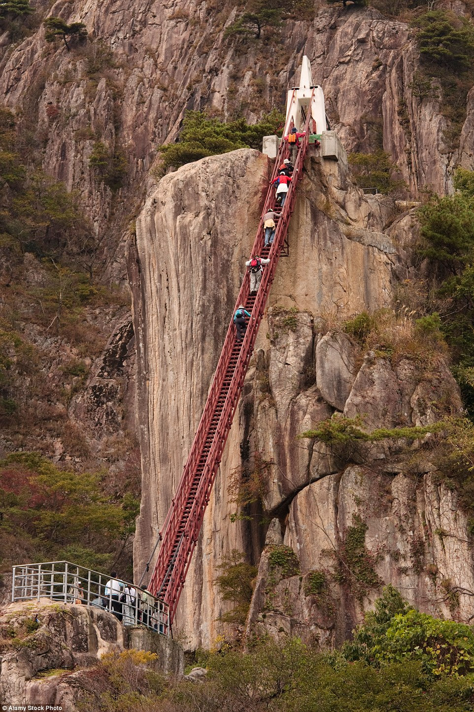 three vine bridges in Shikoku