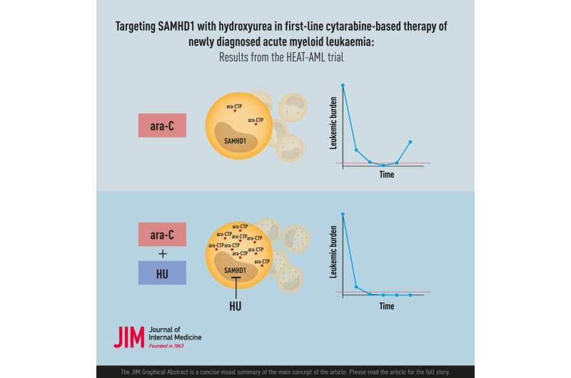 Breakthrough in precision medicine for the treatment of acute myeloid leukemia