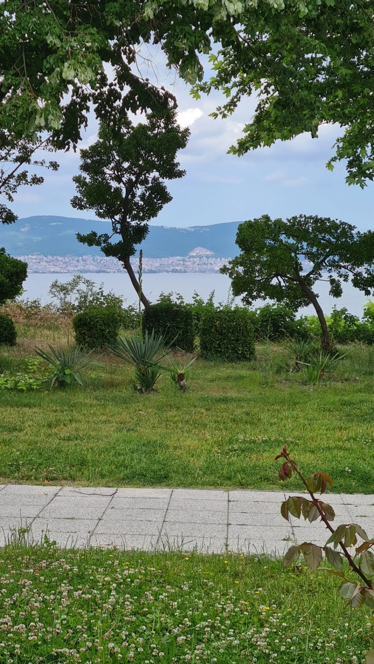 Азия. Четверг. Азия. Четверг.