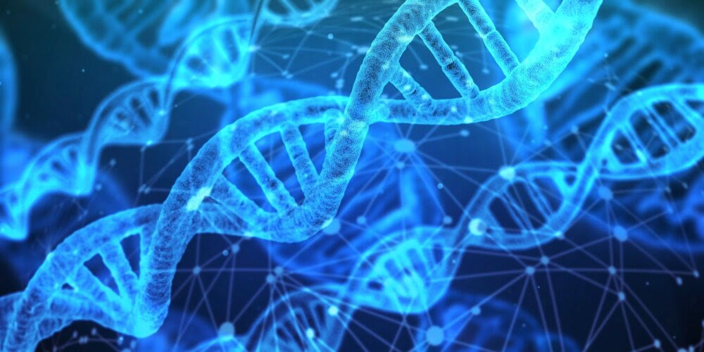 DNA pozwala określić dietę, używki a nawet tryb życia człowieka