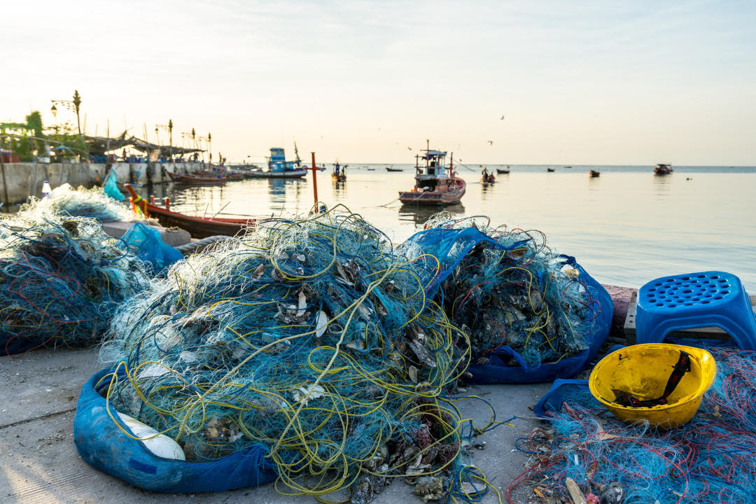 La nueva Ley de Pesca
avanza en la gestión pesquera
pero es injusta en el reparto