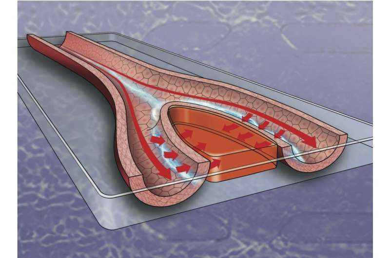 Electricity could help speed wound healing, new study shows