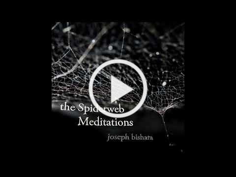 Spiderweb Meditation #4 clip