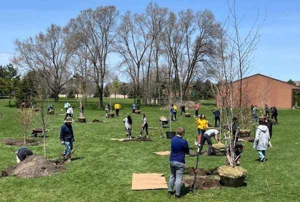 DNR: Support urban trees with a Community Forestry grant - OrionONTV