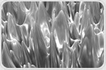 Analysis of Multibeam Milling of Soft Films: Gallium, Neon and Helium - Which One Beams Supreme?