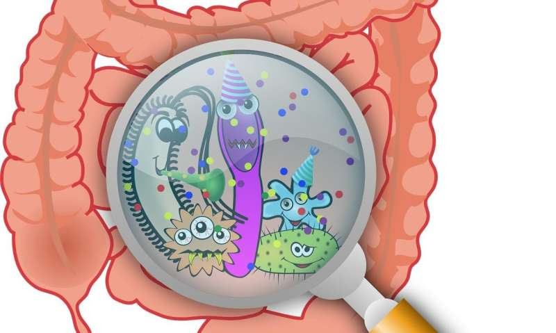 gut bacteria