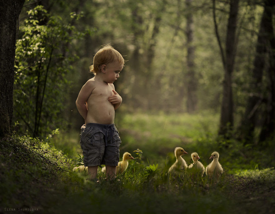 animals-children-photography-elena-Shumilova-12