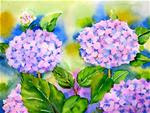 Garden Hortensias - Posted on Friday, November 21, 2014 by Meltem Kilic