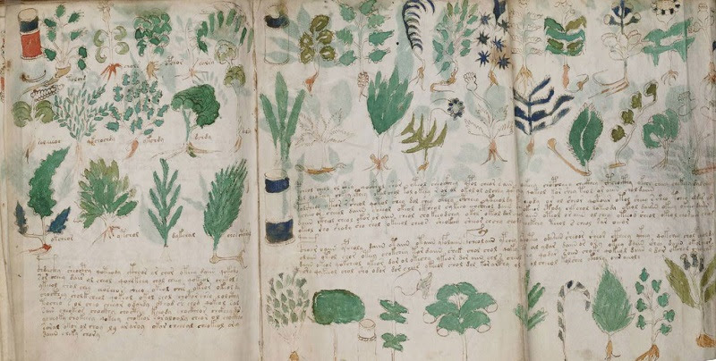 Manuscrito Voynich: El libro más enigmático del mundo E82ZuQUq5XGGlzST6C-2suiLtYJlfgTl82PaprKm7FyI-c1BzSPjUG8rzOEf8Etgd97pr9AQCj1ZAPUzf1TTbF8owGlzKVoLhxJ1tMFPDAemCOtevGU304GI16Hkuw=s0-d-e1-ft#