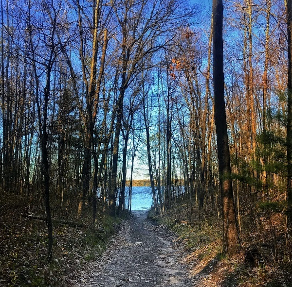 view down a wooded trail, crisp blue water and sky coming through the trees in background