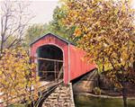 Covered Bridge- Allen County - Posted on Friday, March 6, 2015 by Patricia Matranga