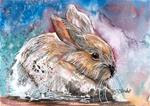 5x7 White Rabbit Watercolor, Pen and Ink Mixed Media by Penny Lee StewArt - Posted on Friday, January 16, 2015 by Penny Lee StewArt