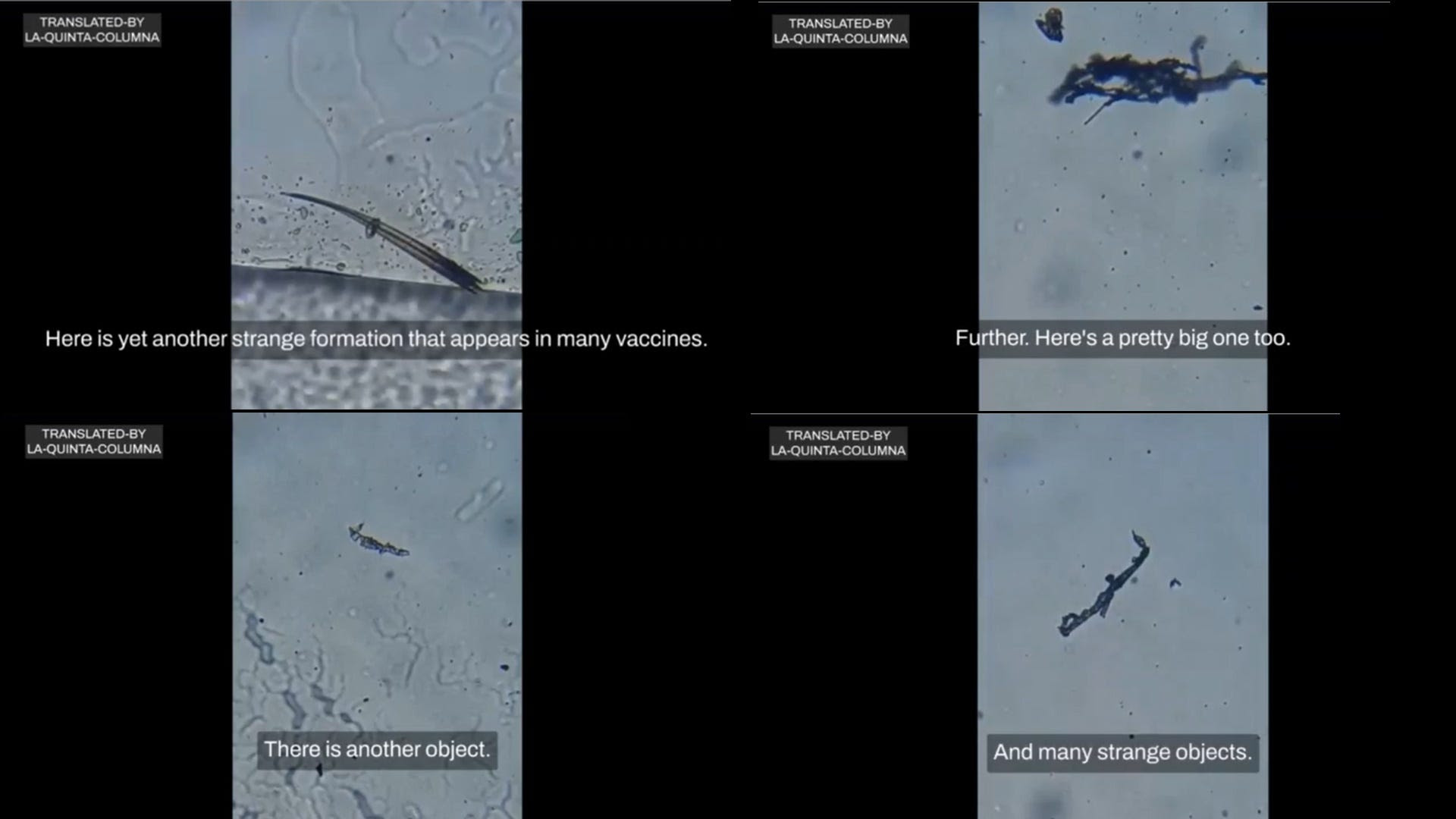 Three-Day Light Microscopic Analysis of the Dried Drop of Hepatitis B Vaccine Https%3A%2F%2Fsubstack-post-media.s3.amazonaws.com%2Fpublic%2Fimages%2F9fb98d4c-95bd-4f2a-a148-b382b9c7d796_1920x1080