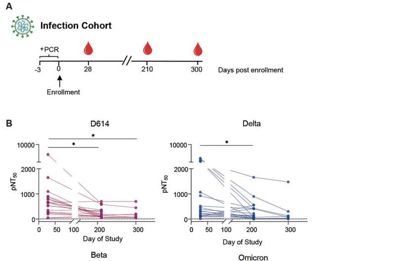 The secret's in the spikes:  Exploring omicron's ability to escape antibodies