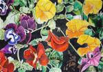 Pansies - Posted on Sunday, January 18, 2015 by gayle smoak