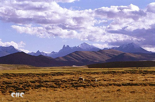 Southwest China's Tibet Autonomous Region. [File photo/China.org.cn]