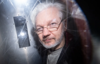 Assange bmsh