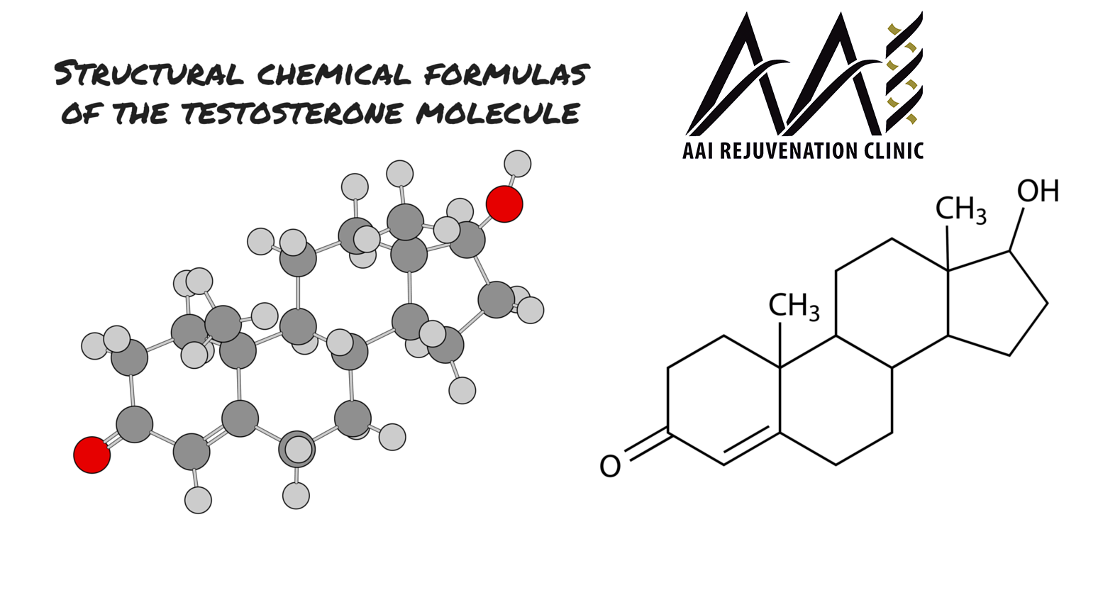 Testosterone is