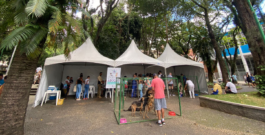 Portal de Notícias PJF | Canil Municipal promove evento de adoção responsável e vacinação antirrábica neste sábado, 13, no Parque Halfeld | DEMLURB - 10/5/2023