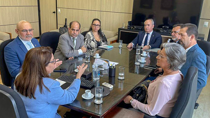 Representantes de instituições de ensino superior de Pernambuco durante a reunião com a secretária de Ensino Superior do MEC, Denise Pires de Carvalho