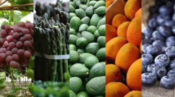 AGAP: Exportación de frutas y hortalizas frescas alcanzarían los US$ 4.970 millones este año
