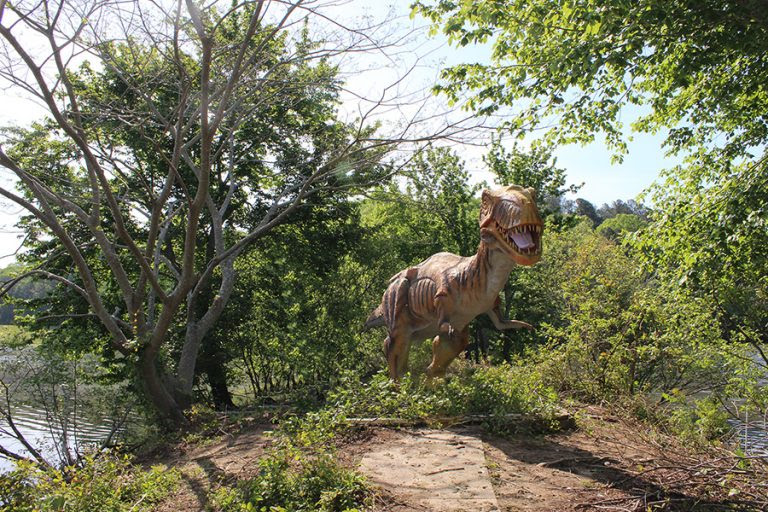 Dinosaurs Spotted in County Parks Suwanee Magazine