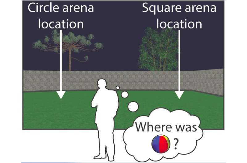 Study shows that remapping and realignment in the hippocampal formation predict context-dependent spatial behavior