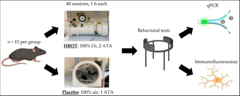 Pressure chamber therapy has been found to be effective in the functional improvement of autism