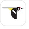 Merlin Bird ID is available now for iOS7 devices