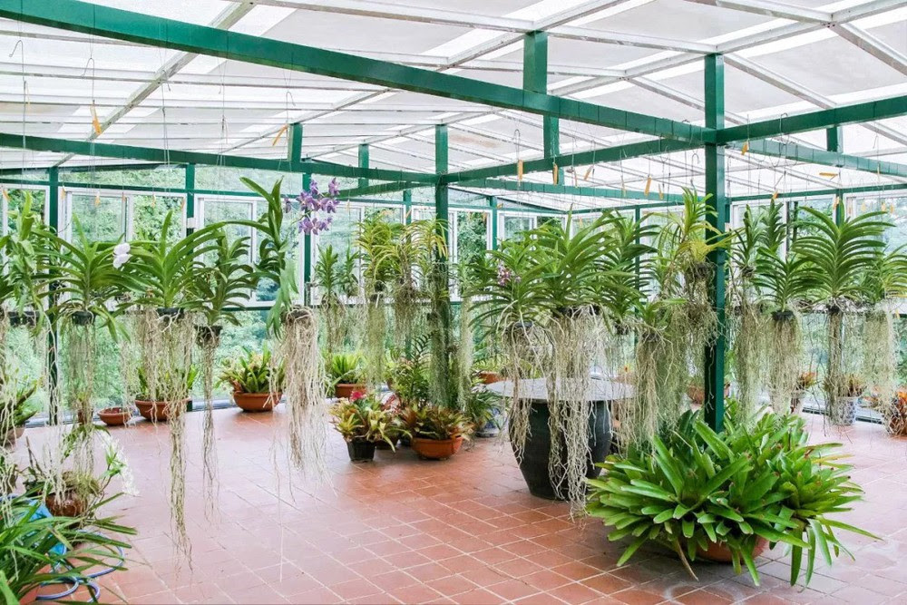 Vị giáo sư độc thân sở hữu ngôi nhà kính trong thung lũng 12.000m² với cuộc sống khó ai tin được - Ảnh 21. Vị giáo sư độc thân sở hữu ngôi nhà kính trong thung lũng 12.000m² với cuộc sống khó ai tin được - Ảnh 21.
