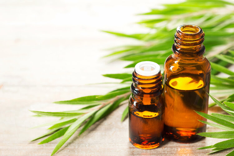 Benefits of Tea Tree Essential Oil for Skin, Hair and Health