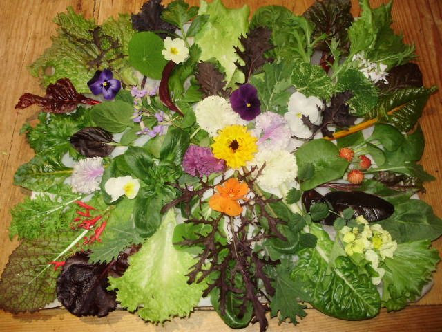 The selection of winter salads available on New Year's Day is a cheerful sight