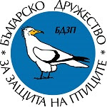 fbspb_cyr.color.logo1.jpg