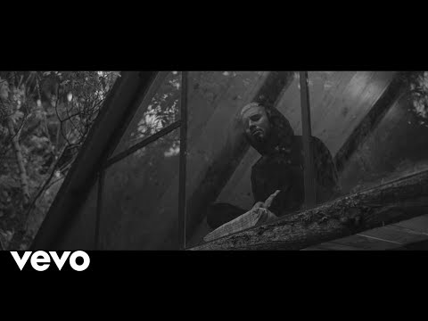 Ver video