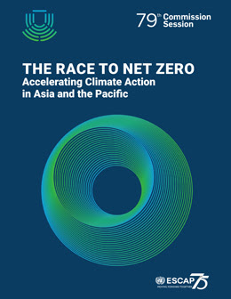 Cover of The Race to New Zero