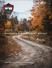 research and management report cover
