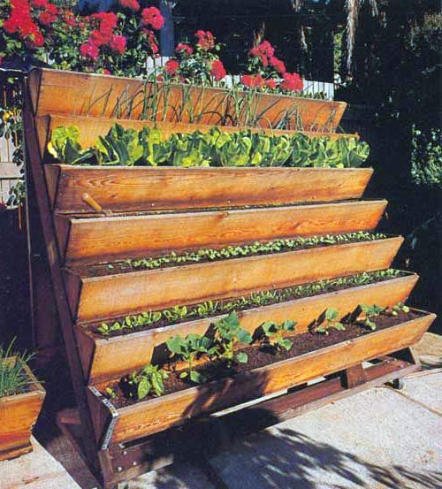 Turn a Small Space Into a Big Harvest  Stair-garden