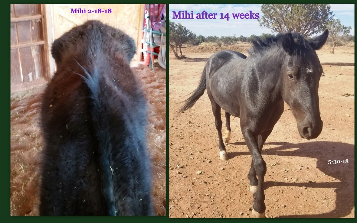 Mihi at 14 weeks 5-30-18 sml px