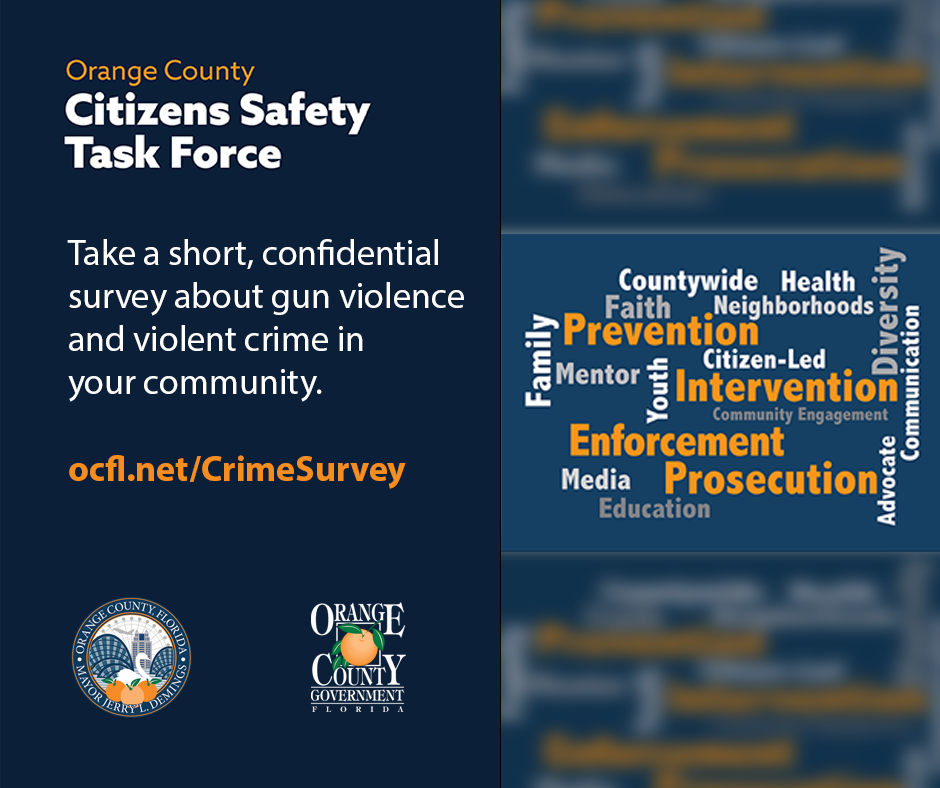 Citizens Safety Task Force asks you to take a short survey about gun violence in your community
