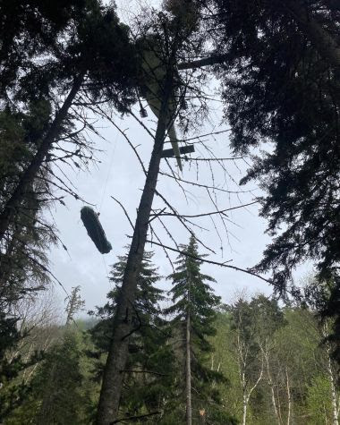 injured hiker being lifted out of woods by a helicopter