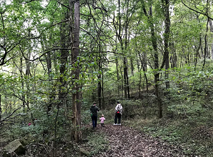 Jamboree 2019 Family Exploration in the woods by Bella Dastvan