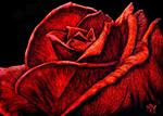 Red Rose - Posted on Wednesday, December 31, 2014 by Monique Morin Matson