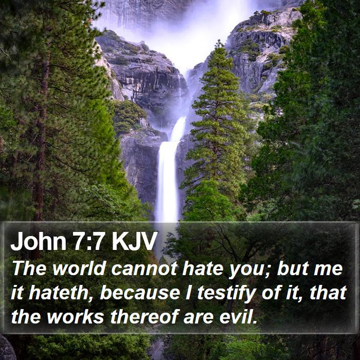 John 7:7 KJV - The world cannot hate you; but me it hateth, - Bible Verse Picture