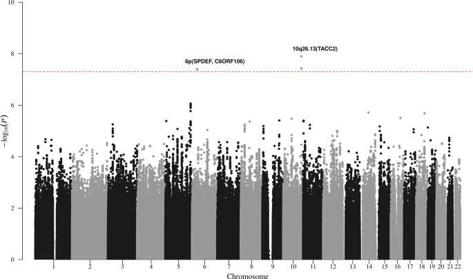 Study identifies genetic tendency in leukemia cells