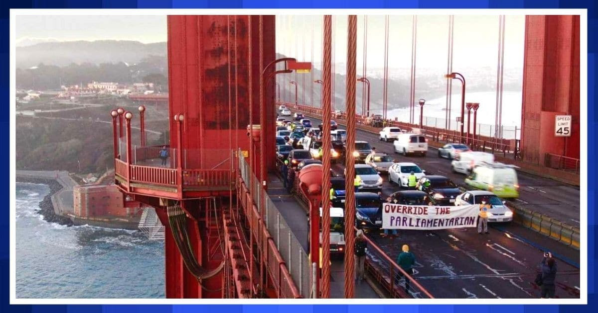 Protesters Cause Chaos At Golden Gate Bridge  - They Are Demanding The Democrat Holy Grail