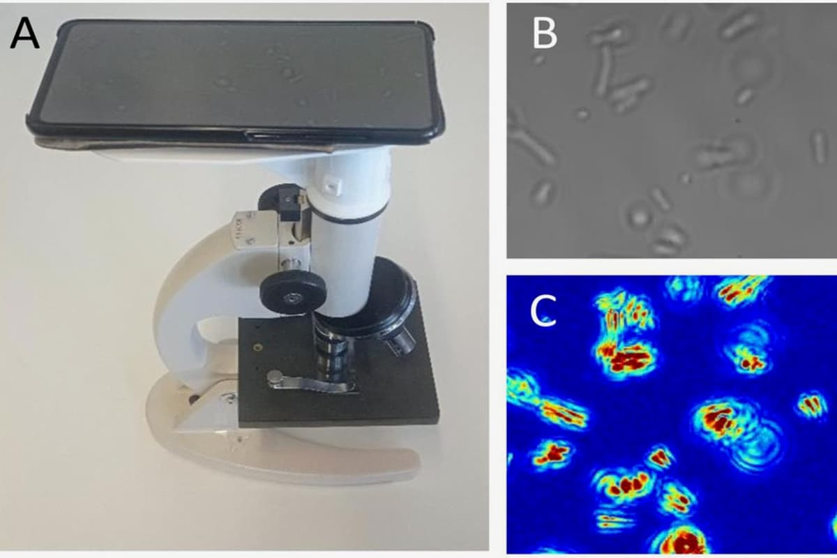 The ONMD setup (A) along with an optical image of E. coli bacteria (B) and that same view in which false colors highlight the movements of each bacterium (C)